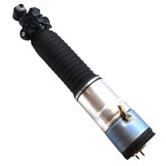 AIR SPRING DAMPER (Rear Right) (6851606)