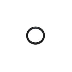 O-RING (N90783401P)